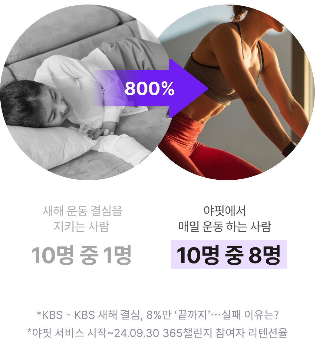 야핏에서 매일 운동하는 사람 10명 중 8